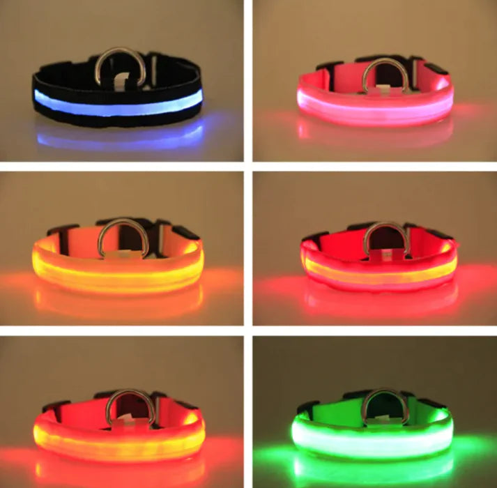 LED Dog 